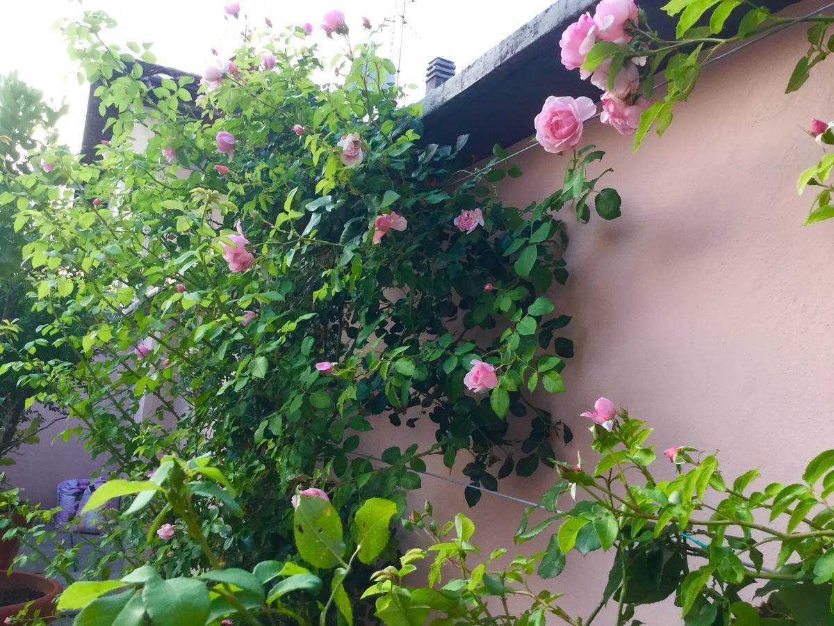 B&B Pescarenico 레코 외부 사진